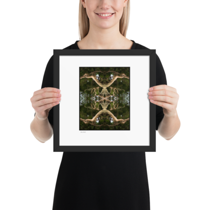 Alien Birth | Framed Print - Image 2