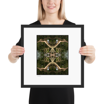 Alien Birth | Framed Print - Image 6