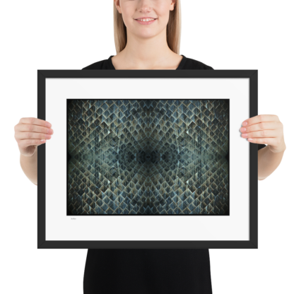 Shuttle Skin | Framed Art Print