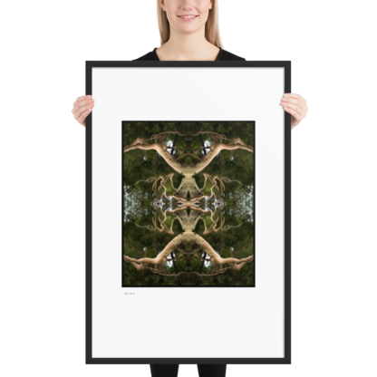 Alien Birth | Framed Print - Image 10