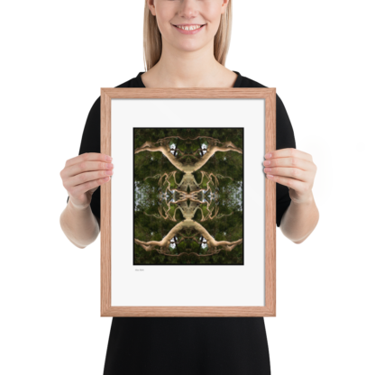 Alien Birth | Framed Print - Image 13