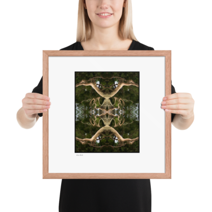 Alien Birth | Framed Print - Image 15