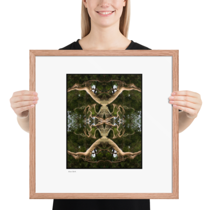 Alien Birth | Framed Print - Image 16