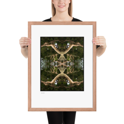 Alien Birth | Framed Print - Image 17