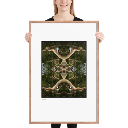 Alien Birth | Framed Print - Image 18