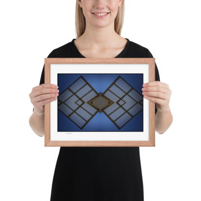 Satellite Moth  | Framed Print - Image 15