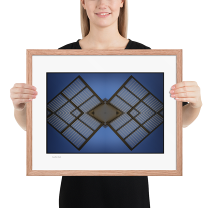 Satellite Moth  | Framed Print - Image 19