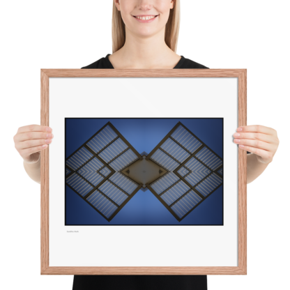 Satellite Moth  | Framed Print - Image 20