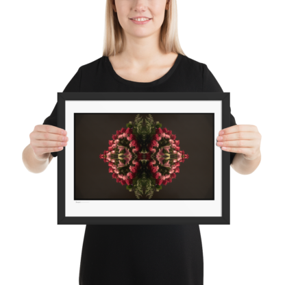 Bouquet | Framed Print - Image 2