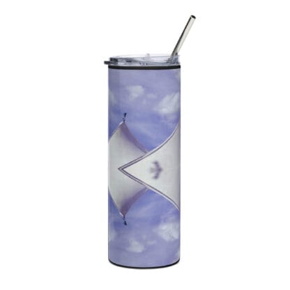 Flying | Insulated Stainless Steel Tumbler